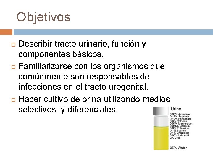 Objetivos Describir tracto urinario, función y componentes básicos. Familiarizarse con los organismos que comúnmente