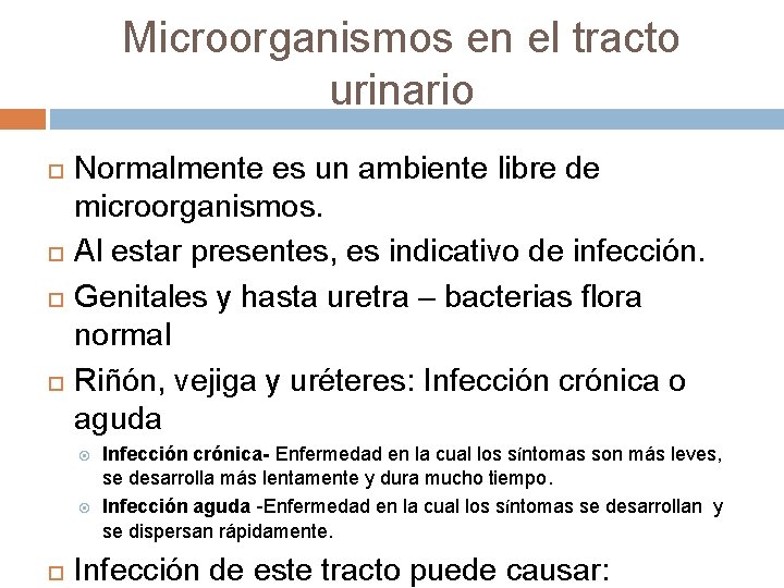 Microorganismos en el tracto urinario Normalmente es un ambiente libre de microorganismos. Al estar
