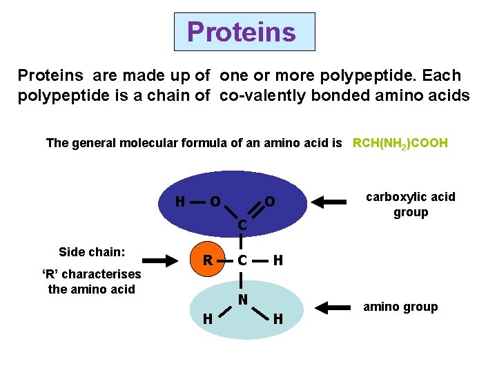 Proteins are made up of one or more polypeptide. Each polypeptide is a chain