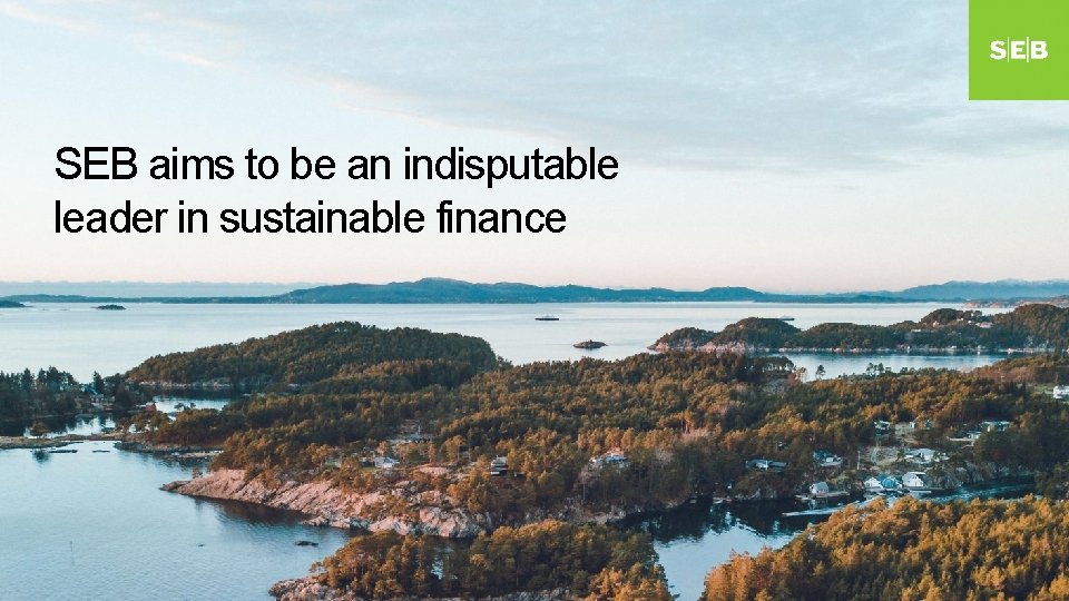 SEB aims to be an indisputable leader in sustainable finance 