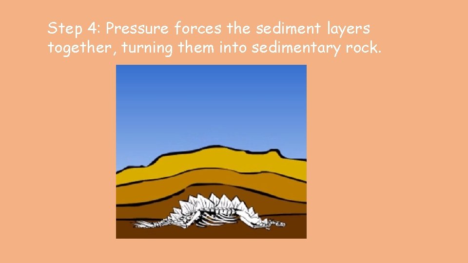 Step 4: Pressure forces the sediment layers together, turning them into sedimentary rock. 