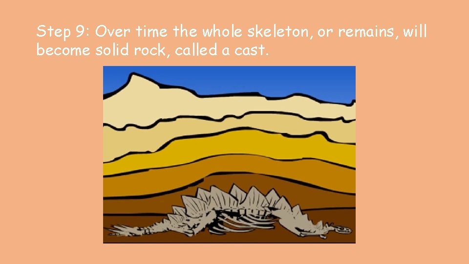 Step 9: Over time the whole skeleton, or remains, will become solid rock, called