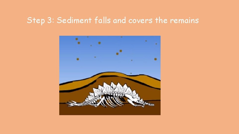 Step 3: Sediment falls and covers the remains 