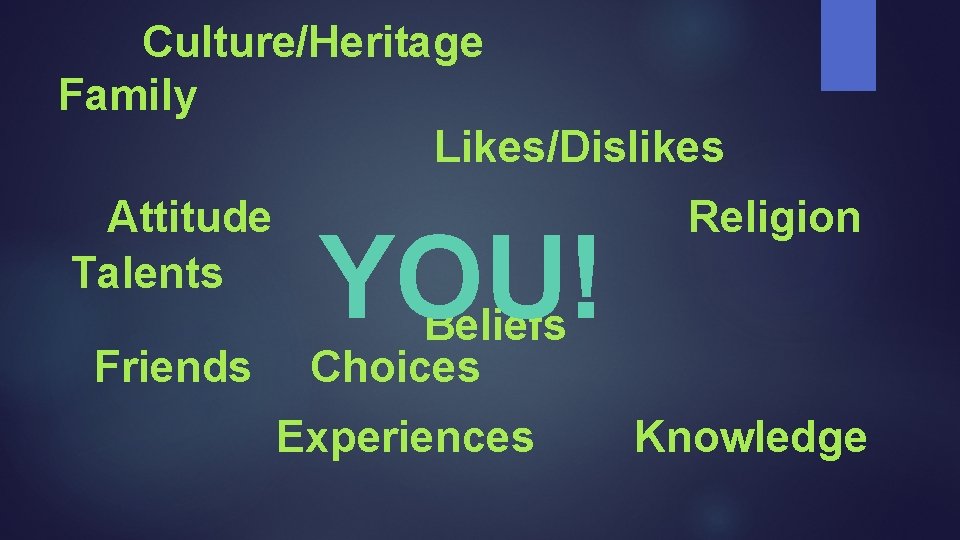 Culture/Heritage Family Likes/Dislikes Attitude Talents Friends YOU! Religion Beliefs Choices Experiences Knowledge 
