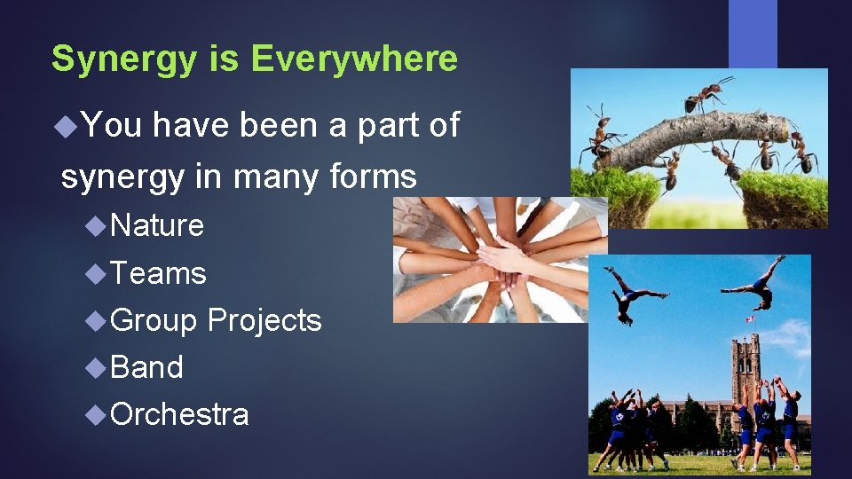 Synergy is Everywhere You have been a part of synergy in many forms Nature