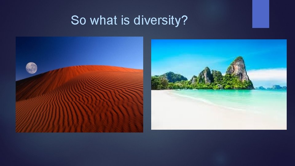 So what is diversity? 