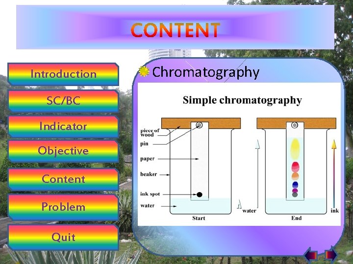 Introduction SC/BC Indicator Objective Content Problem Quit Chromatography 