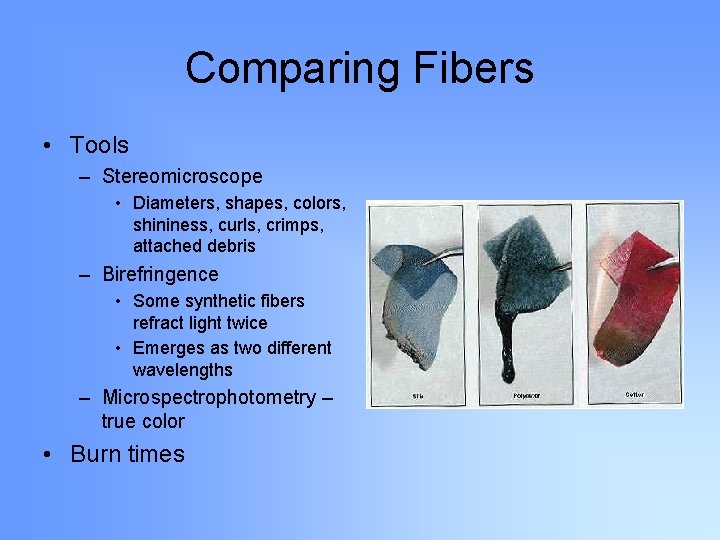 Comparing Fibers • Tools – Stereomicroscope • Diameters, shapes, colors, shininess, curls, crimps, attached