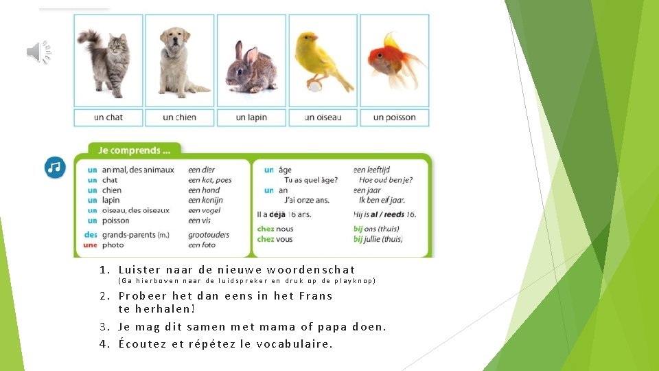 1. Luister naar de nieuwe woordenschat (Ga hierboven naar de luidspreker en druk op