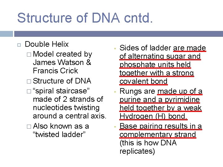 Structure of DNA cntd. Double Helix � Model created by James Watson & Francis