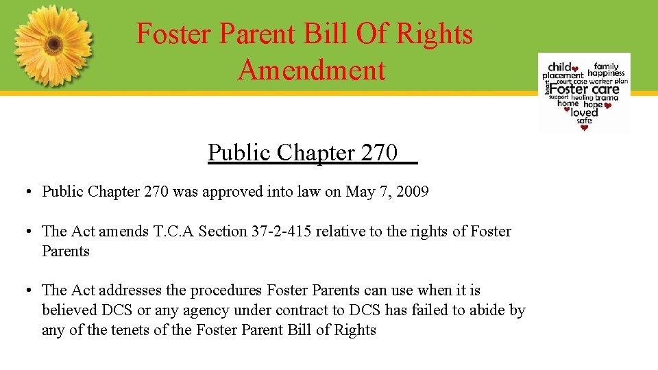 Foster Parent Bill Of Rights Amendment Public Chapter 270 • Public Chapter 270 was
