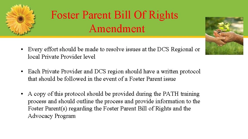 Foster Parent Bill Of Rights Amendment • Every effort should be made to resolve