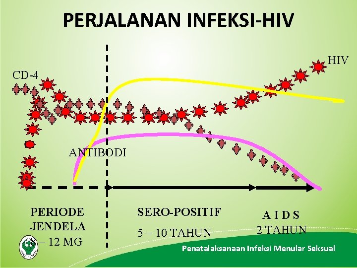 PERJALANAN INFEKSI-HIV CD-4 ANTIBODI PERIODE JENDELA 8 – 12 MG SERO-POSITIF 5 – 10