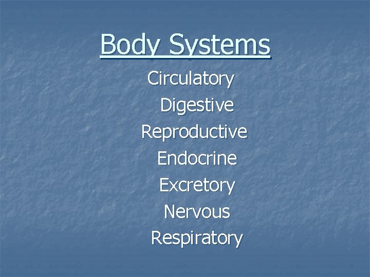 Body Systems Circulatory Digestive Reproductive Endocrine Excretory Nervous Respiratory 