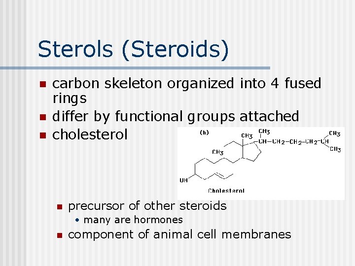 Sterols (Steroids) n n n carbon skeleton organized into 4 fused rings differ by