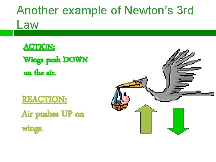 Another example of Newton’s 3 rd Law ACTION: Wings push DOWN on the air.