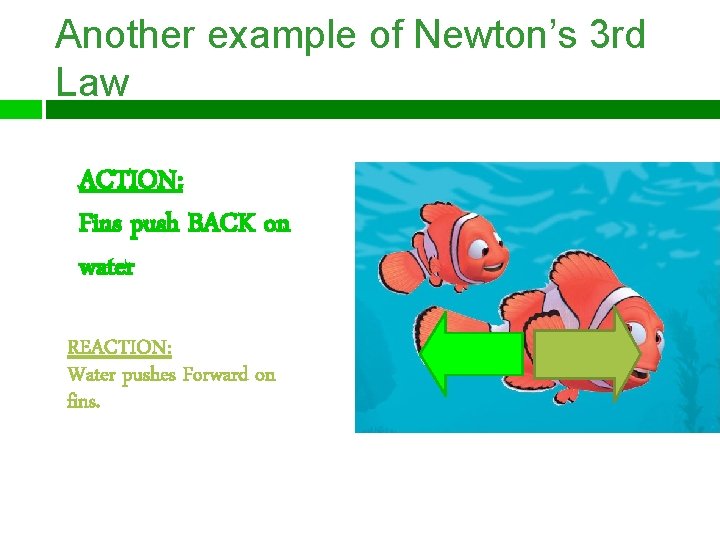 Another example of Newton’s 3 rd Law ACTION: Fins push BACK on water REACTION: