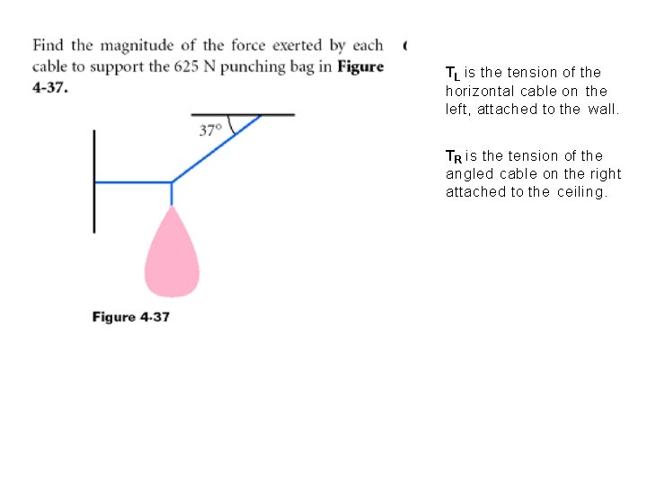 TL is the tension of the horizontal cable on the left, attached to the