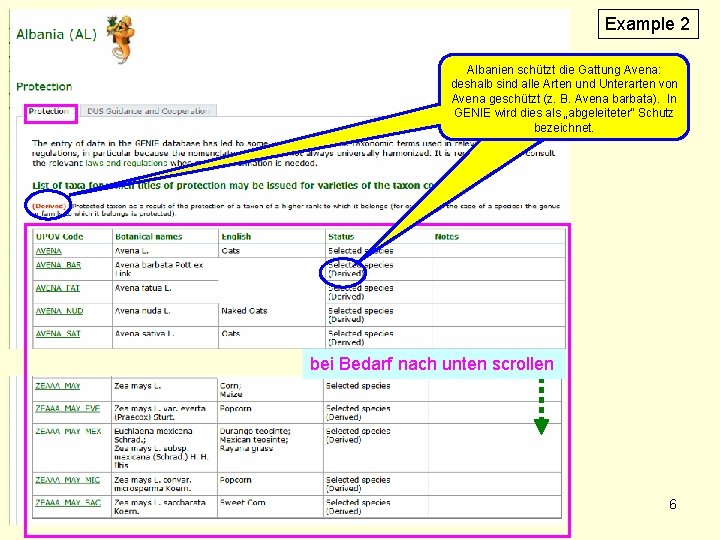 Example 2 Albanien schützt die Gattung Avena: deshalb sind alle Arten und Unterarten von