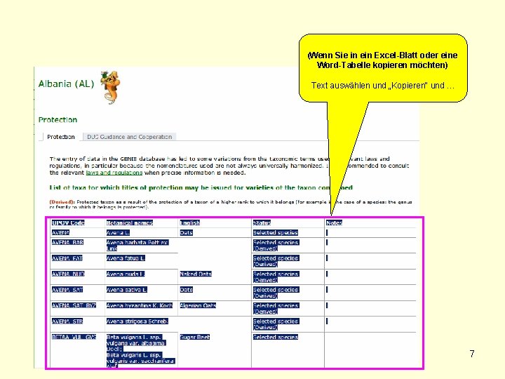 (Wenn Sie in ein Excel-Blatt oder eine Word-Tabelle kopieren möchten) Text auswählen und „Kopieren“