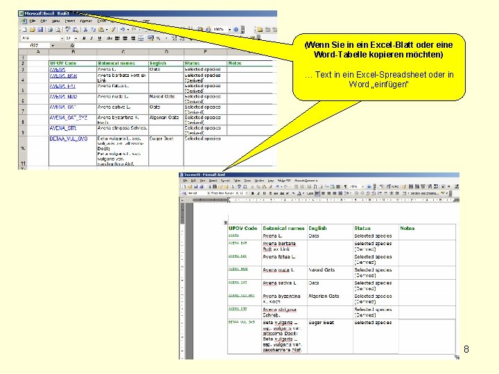 (Wenn Sie in ein Excel-Blatt oder eine Word-Tabelle kopieren möchten) … Text in ein