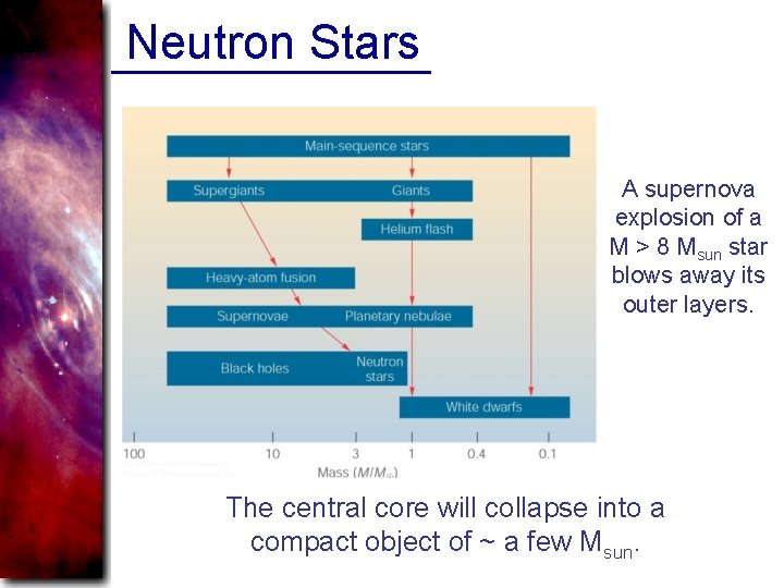 Neutron Stars A supernova explosion of a M > 8 Msun star blows away