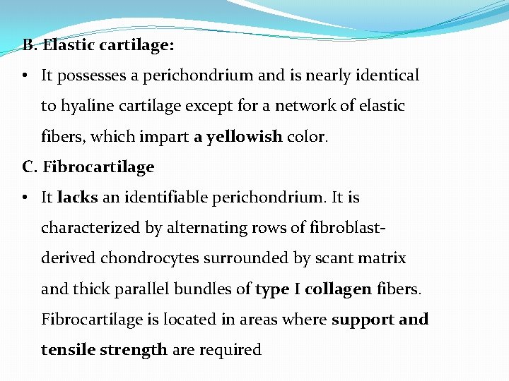 B. Elastic cartilage: • It possesses a perichondrium and is nearly identical to hyaline