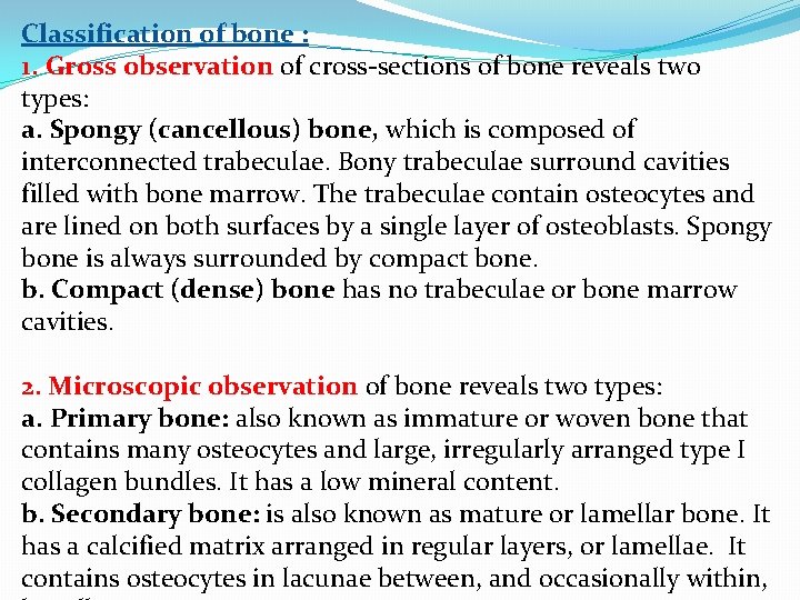Classification of bone : 1. Gross observation of cross-sections of bone reveals two types: