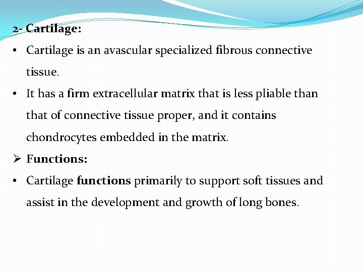 2 - Cartilage: • Cartilage is an avascular specialized fibrous connective tissue. • It