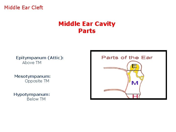 Middle Ear Cleft Middle Ear Cavity Parts Epitympanum (Attic): Above TM Mesotympanum: Opposite TM