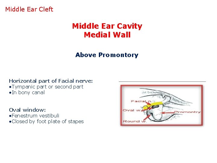Middle Ear Cleft Middle Ear Cavity Medial Wall Above Promontory Horizontal part of Facial