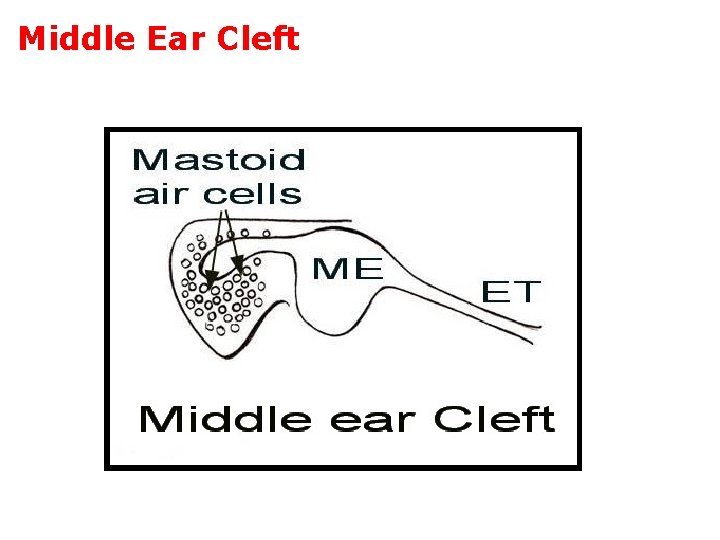 Middle Ear Cleft 