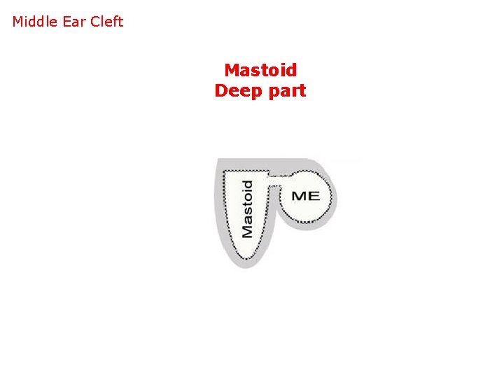 Middle Ear Cleft Mastoid Deep part 
