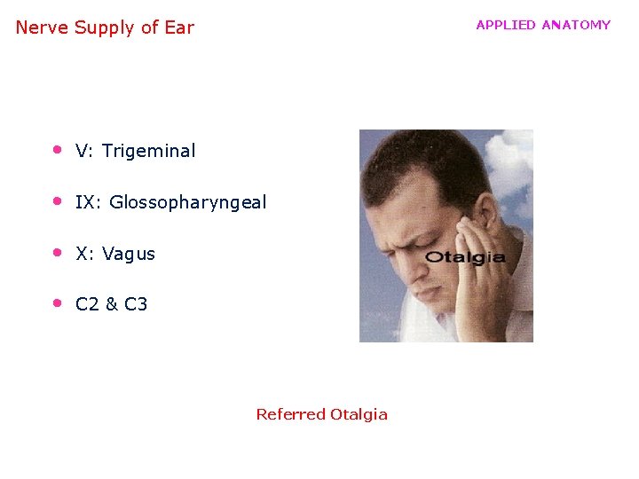 Nerve Supply of Ear APPLIED ANATOMY • V: Trigeminal • IX: Glossopharyngeal • X:
