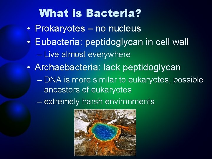 What is Bacteria? • Prokaryotes – no nucleus • Eubacteria: peptidoglycan in cell wall