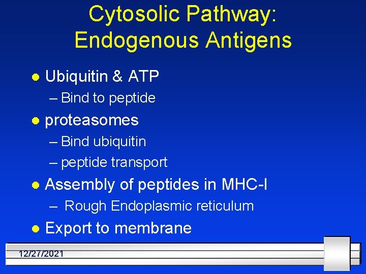 Cytosolic Pathway: Endogenous Antigens l Ubiquitin & ATP – Bind to peptide l proteasomes