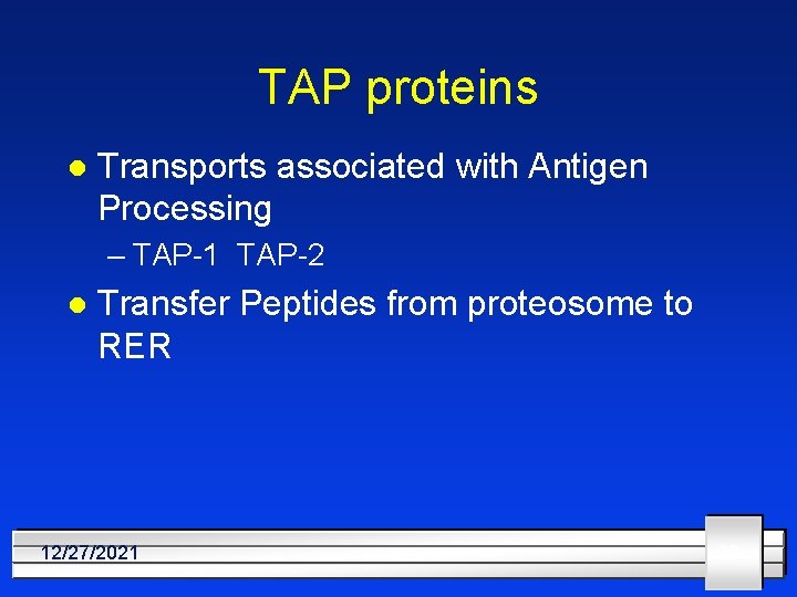 TAP proteins l Transports associated with Antigen Processing – TAP-1 TAP-2 l Transfer Peptides