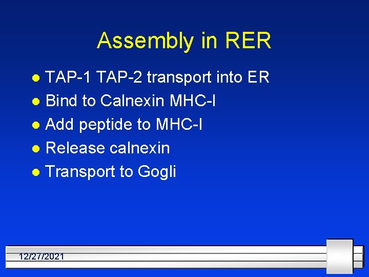 Assembly in RER TAP-1 TAP-2 transport into ER l Bind to Calnexin MHC-I l