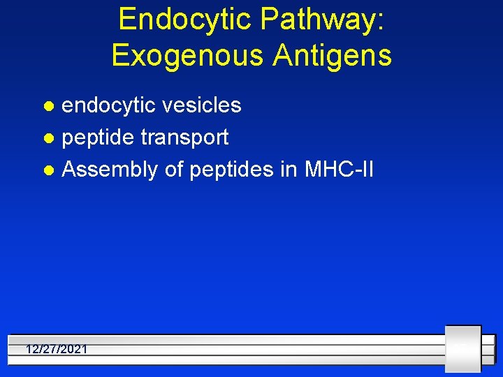 Endocytic Pathway: Exogenous Antigens endocytic vesicles l peptide transport l Assembly of peptides in