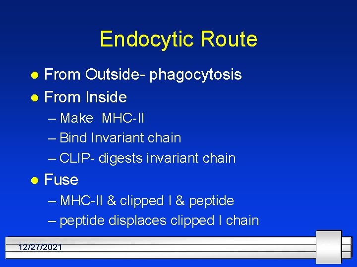 Endocytic Route From Outside- phagocytosis l From Inside l – Make MHC-II – Bind