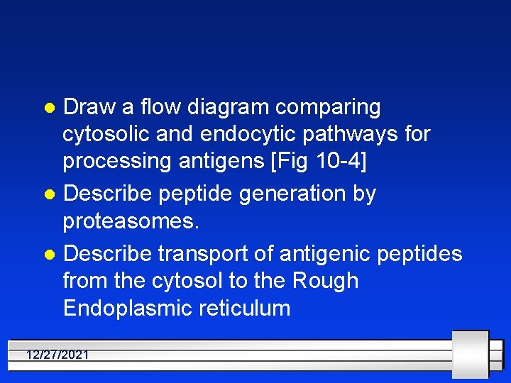 Draw a flow diagram comparing cytosolic and endocytic pathways for processing antigens [Fig 10