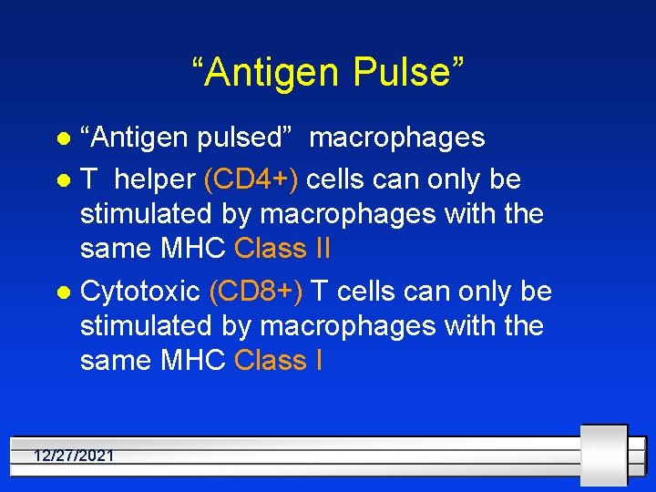 “Antigen Pulse” “Antigen pulsed” macrophages l T helper (CD 4+) cells can only be