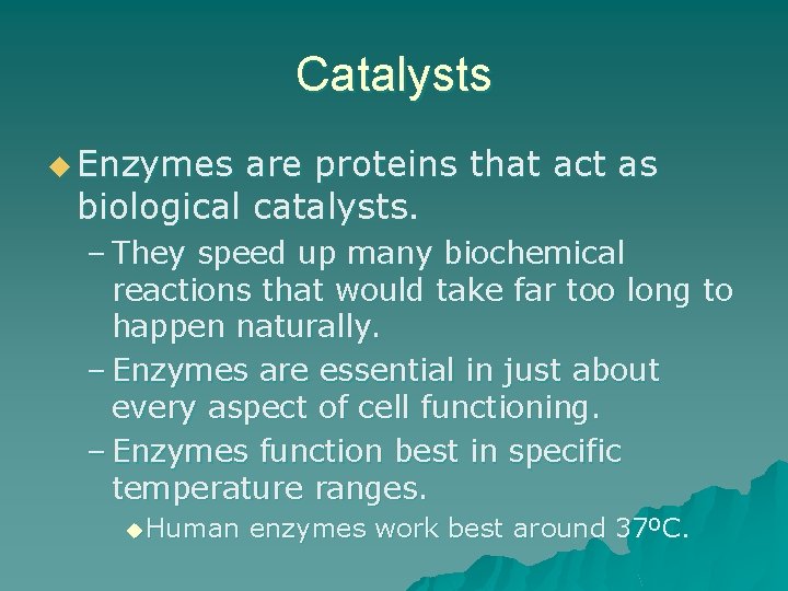 Catalysts u Enzymes are proteins that act as biological catalysts. – They speed up