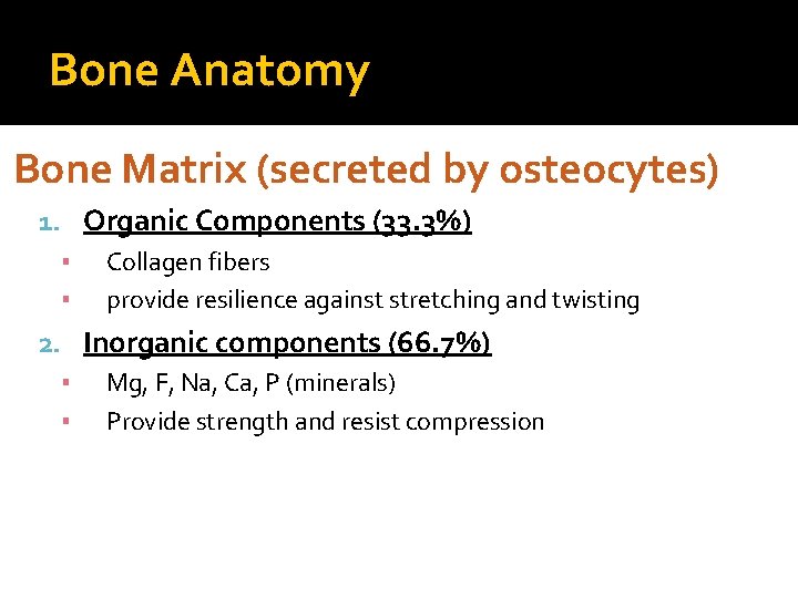 Bone Anatomy Bone Matrix (secreted by osteocytes) 1. Organic Components (33. 3%) ▪ Collagen