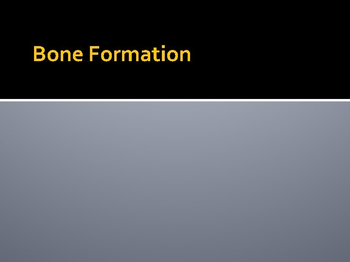 Bone Formation 