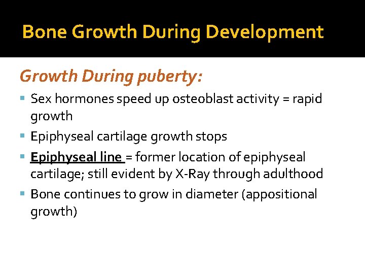 Bone Growth During Development Growth During puberty: Sex hormones speed up osteoblast activity =
