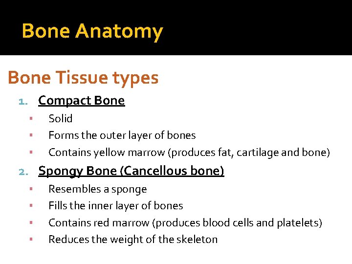 Bone Anatomy Bone Tissue types 1. Compact Bone ▪ Solid ▪ Forms the outer