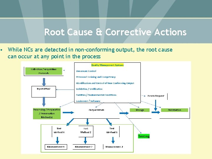 Root Cause & Corrective Actions • While NCs are detected in non-conforming output, the