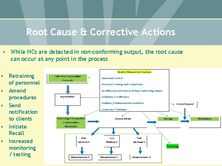 Root Cause & Corrective Actions • While NCs are detected in non-conforming output, the