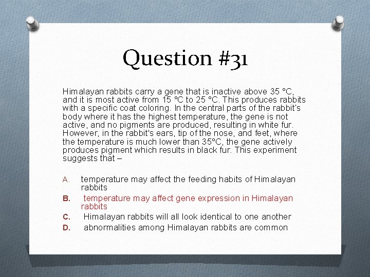 Question #31 Himalayan rabbits carry a gene that is inactive above 35 °C, and